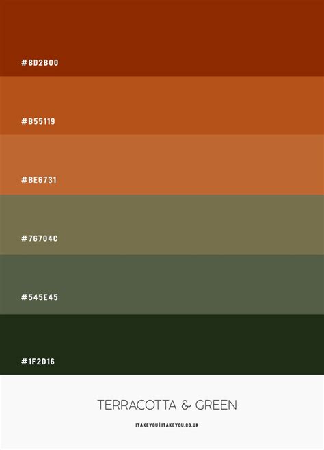 paleta de cores terracota-4